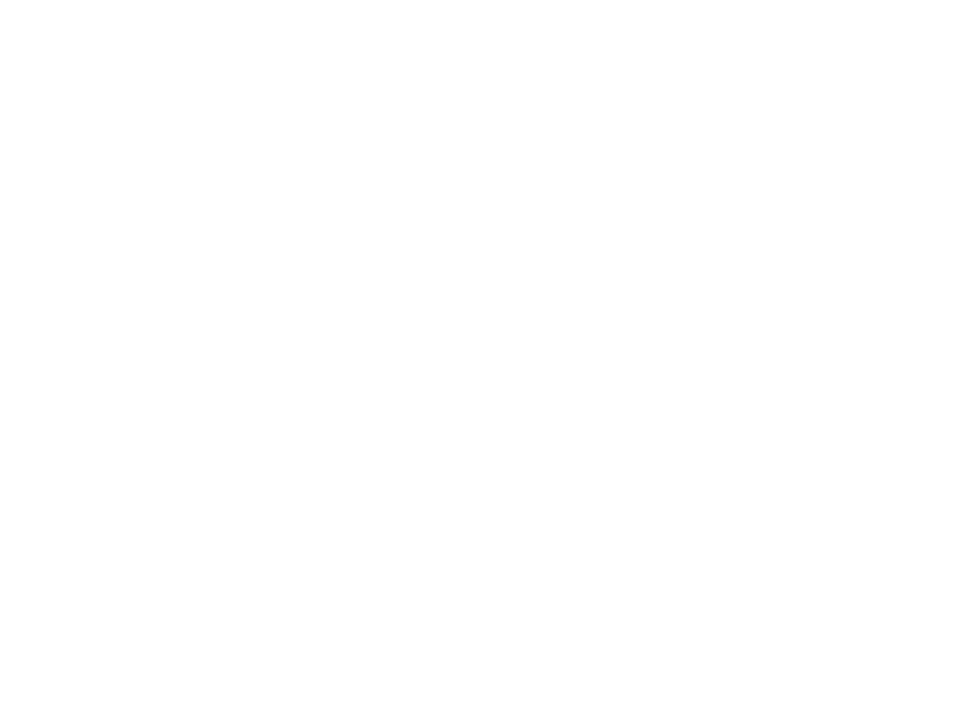 Youth Leaders Path